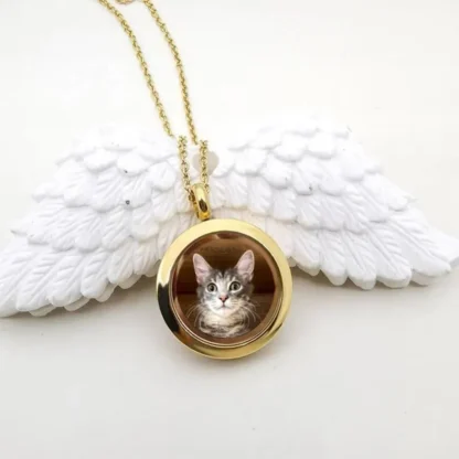 Custom Pet Fur And Photo Locket Necklace
